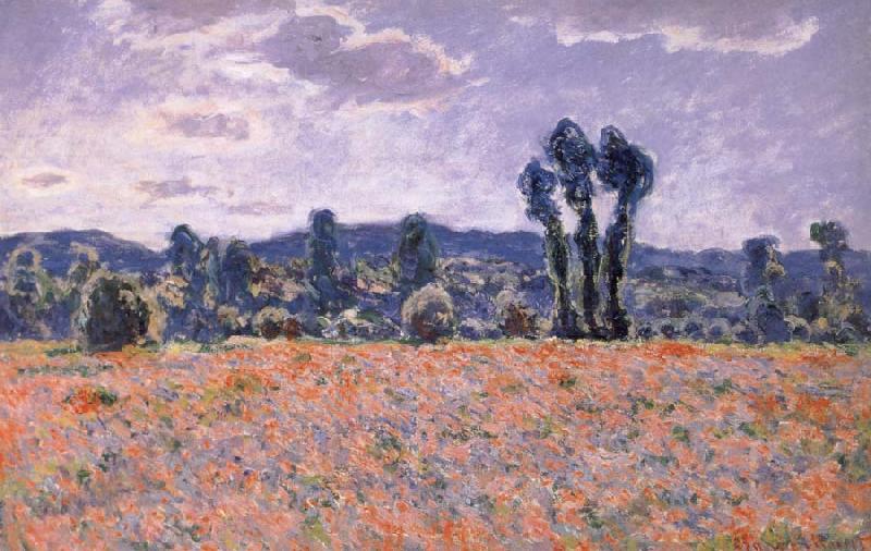 Claude Monet Poppy Field in Bloom Norge oil painting art